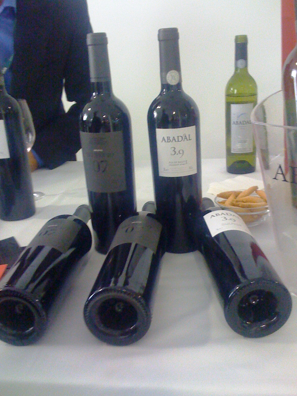 salon_peñin_mejores_vinos_abadal